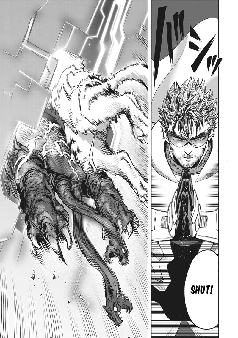 One Punch Man - Chapter 202.5 image 12
